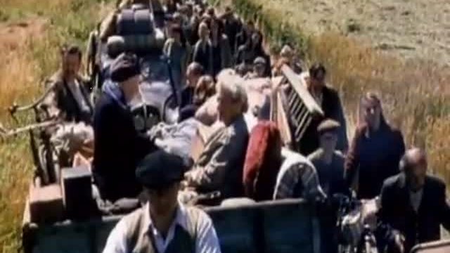 Strayed Fragmanı
