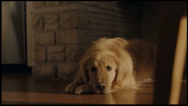 Something New 3. Fragmanı
