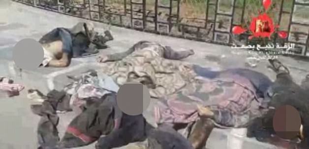 IŞİD Cesetleri Sokakta Sergiledi